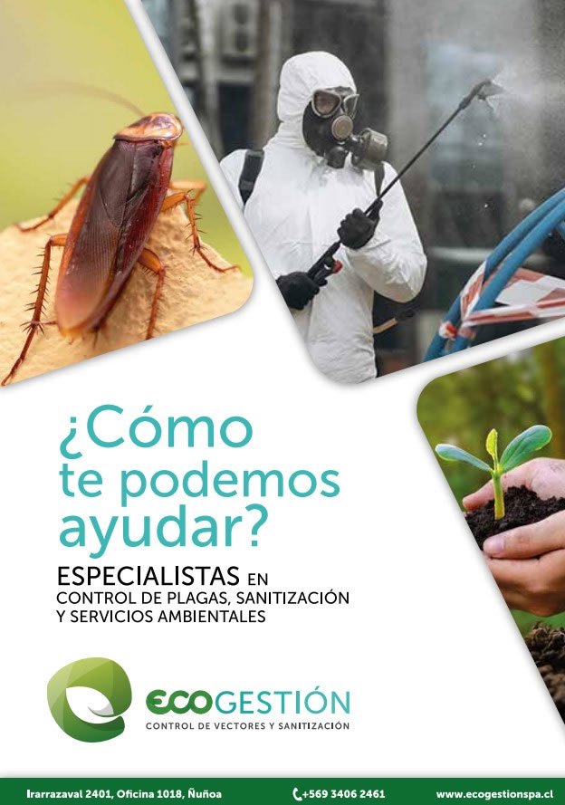 Ecogestión, Branding, Material de Venta, Diseño de Sitio Web, Brochure, SEO, Posicionamiento Web