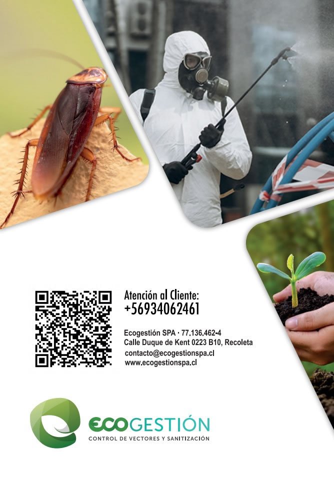Ecogestión, Branding, Material de Venta, Diseño de Sitio Web, Brochure, SEO, Posicionamiento Web