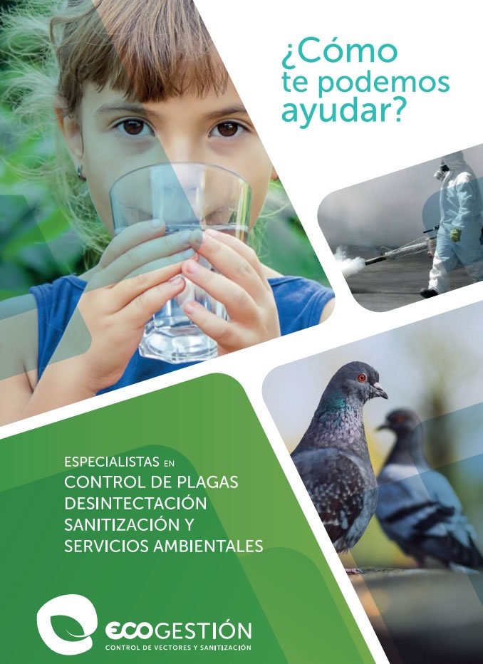 Ecogestión, Branding, Material de Venta, Diseño de Sitio Web, Brochure, SEO, Posicionamiento Web
