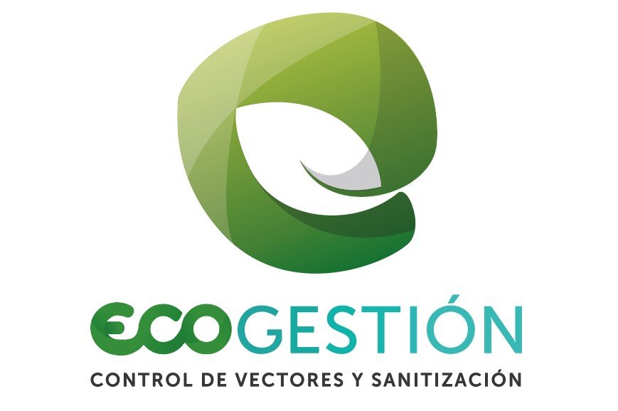 Ecogestión, Branding, Material de Venta, Diseño de Sitio Web, Brochure, SEO, Posicionamiento Web