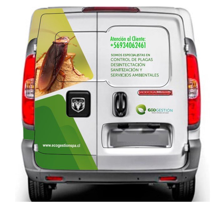 Ecogestión, Branding, Material de Venta, Diseño de Sitio Web, Brochure, SEO, Posicionamiento Web