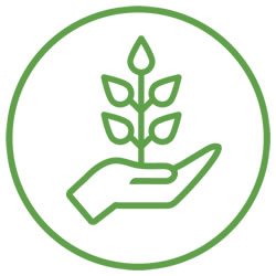 Fundación Mi Parque, Diseño y Desarrollo de Sitios Web, Branding Digital