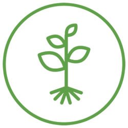 Fundación Mi Parque, Diseño y Desarrollo de Sitios Web, Branding Digital