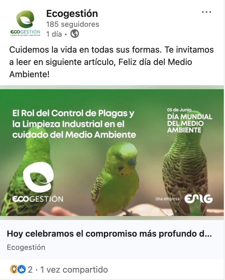 ecogestion agencias de-marketing digital.jpg