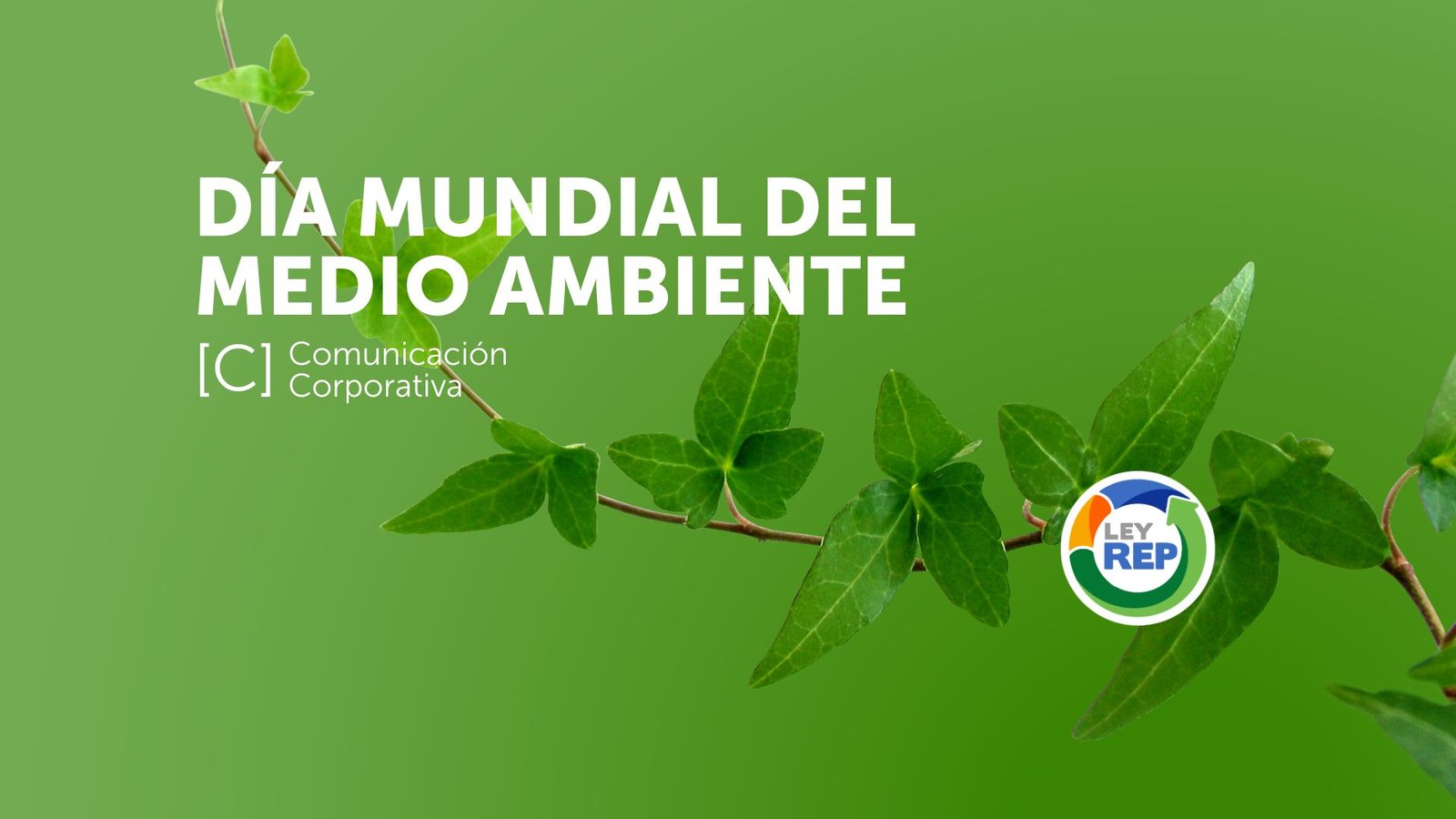 Agencias de marketing digital ley rep