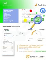 Braulio Publicidad - Agencia SEO
